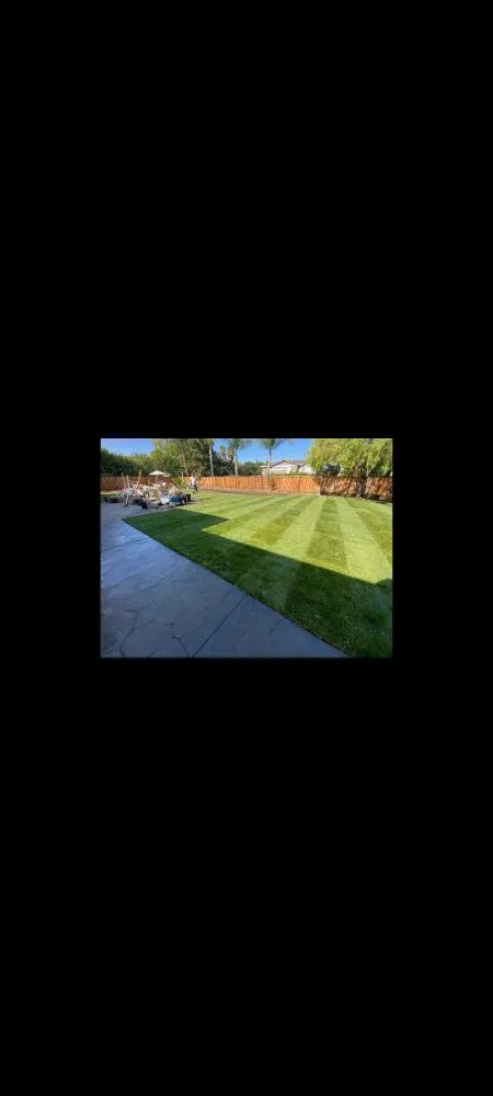 Custom landscape design in Tracy, CA - Travis Preston Landscaping