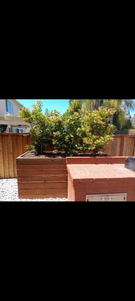 Reliable lawn mowing service with custom design across Tracy, CA - Travis Preston Landscaping