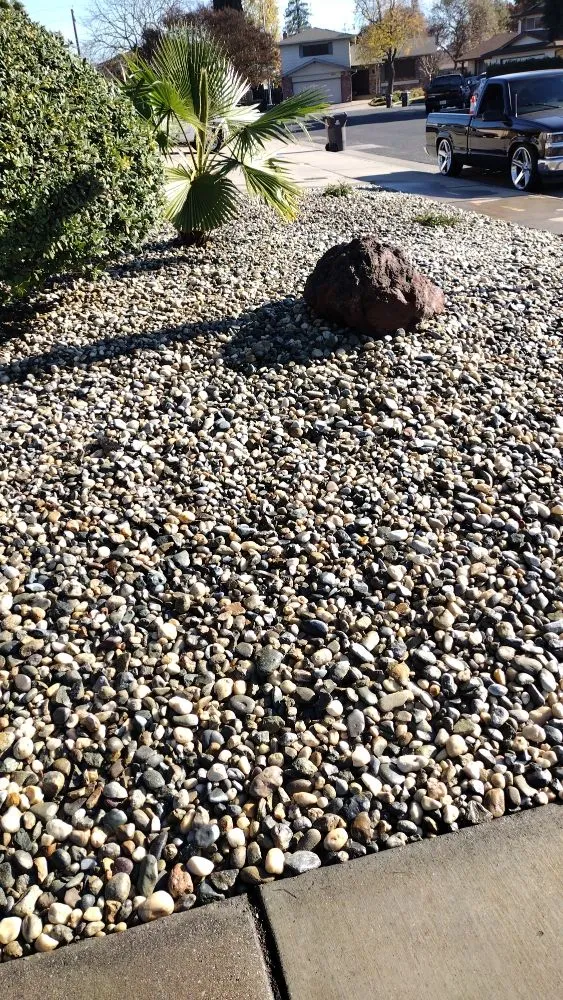 Trusted landscaping services near you across Tracy, CA - Travis Preston Landscaping