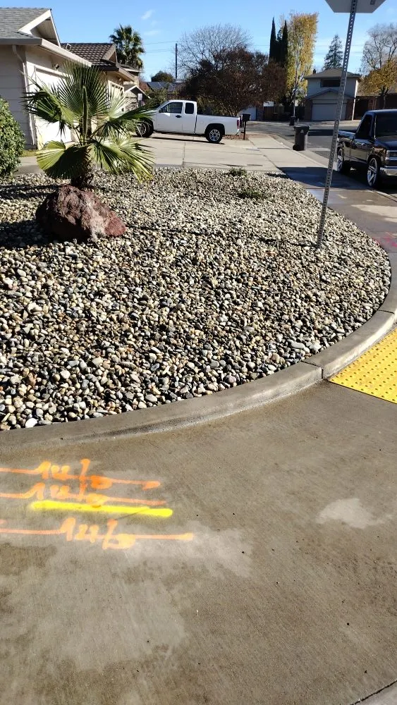 Top-rated landscaping services experts serving Tracy, CA - Travis Preston Landscaping