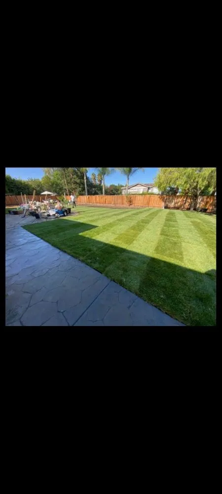 Trusted landscape design experts serving Tracy, CA - Travis Preston Landscaping