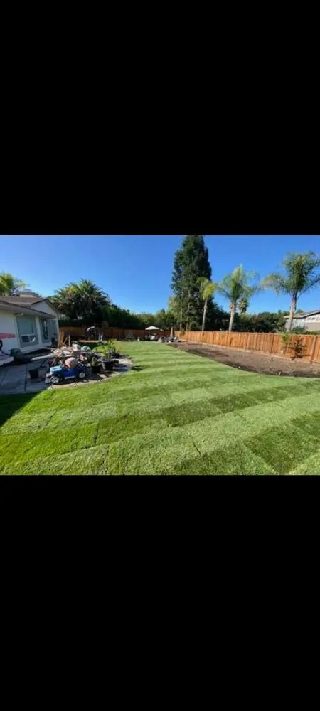 Expert garden landscaping for beautiful yards across Tracy, CA - Travis Preston Landscaping