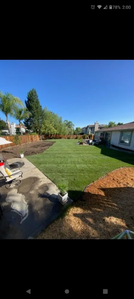 Affordable yard maintenance experts serving Tracy, CA - Travis Preston Landscaping