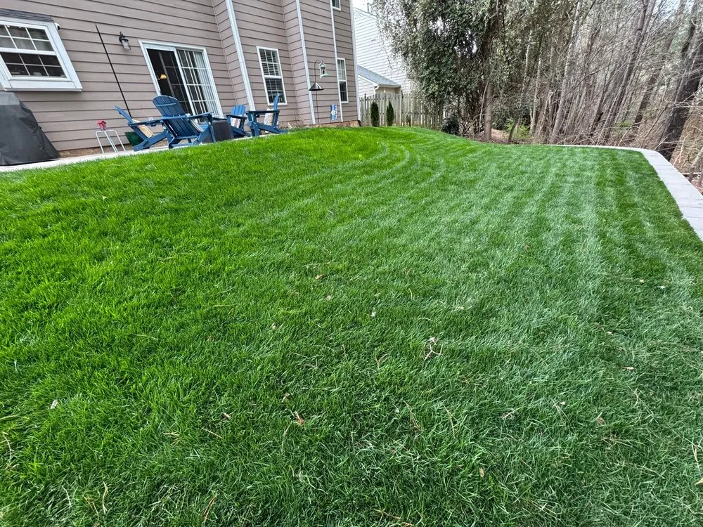 Professional landscape installation experts serving Pittsboro, NC - Travis Thurber Landscaping