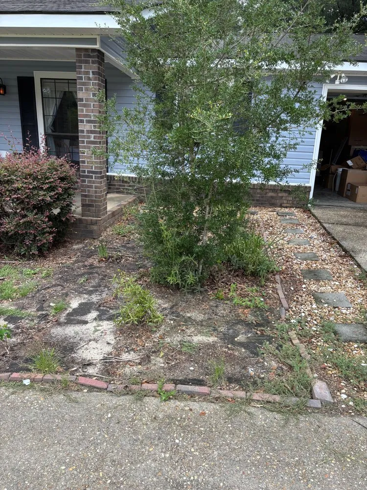 Top-rated garden landscaping in New Brockton, AL by Trawick Gardens & Landscapes