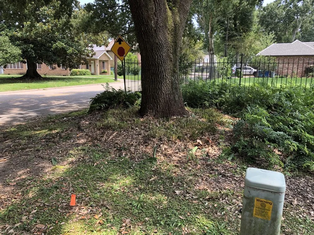 Professional lawn care service for year-round maintenance in Lafayette, LA by Trays Lawn and Landcape Maintenance