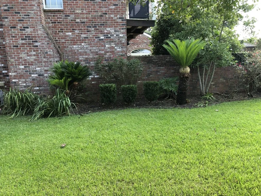 Local yard maintenance in Lafayette, LA - Trays Lawn and Landcape Maintenance