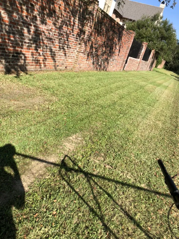 Custom yard cleanup service experts serving Lafayette, LA - Trays Lawn and Landcape Maintenance