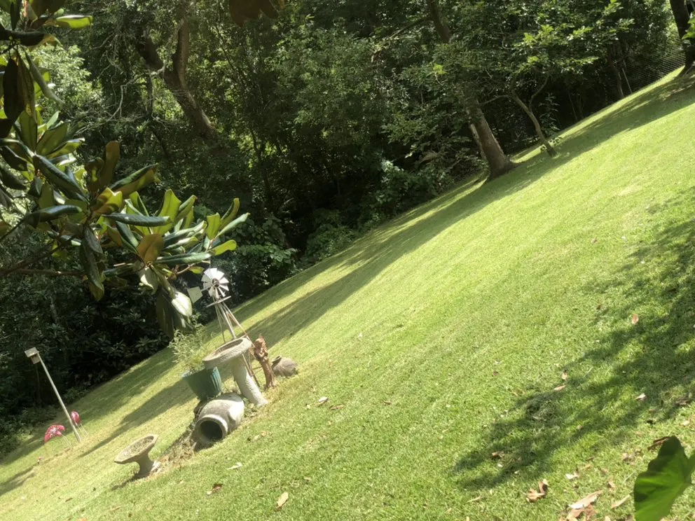 Professional outdoor landscaping near you across Lafayette, LA - Trays Lawn and Landcape Maintenance