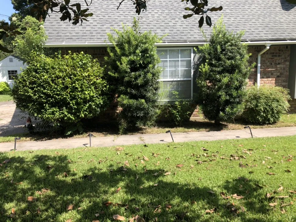 Top-rated outdoor landscaping for residential properties in Lafayette, LA by Trays Lawn and Landcape Maintenance