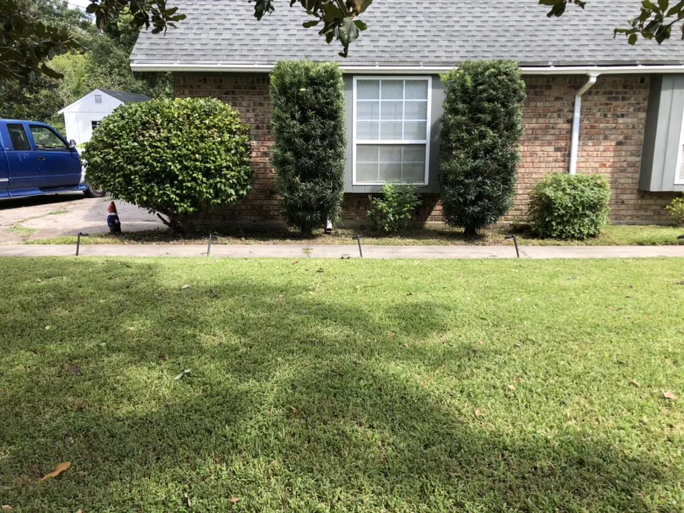 Local lawn care service near you in Lafayette, LA by Trays Lawn and Landcape Maintenance