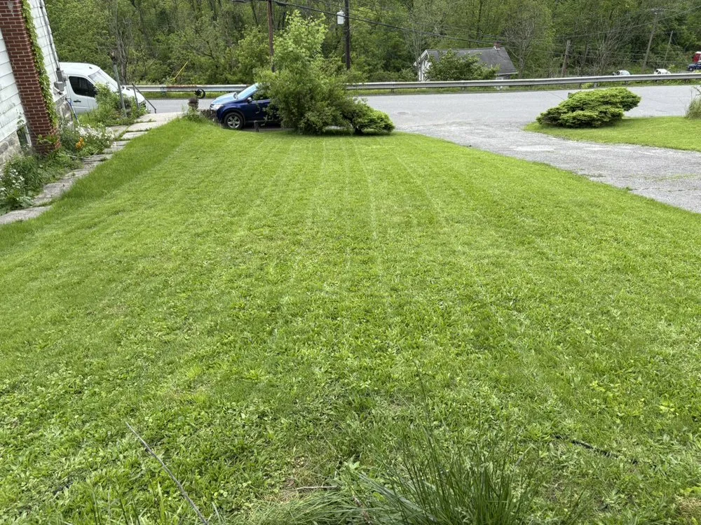Trusted yard cleanup service for residential properties in Reedsville, PA by Tray’s Lawn Care