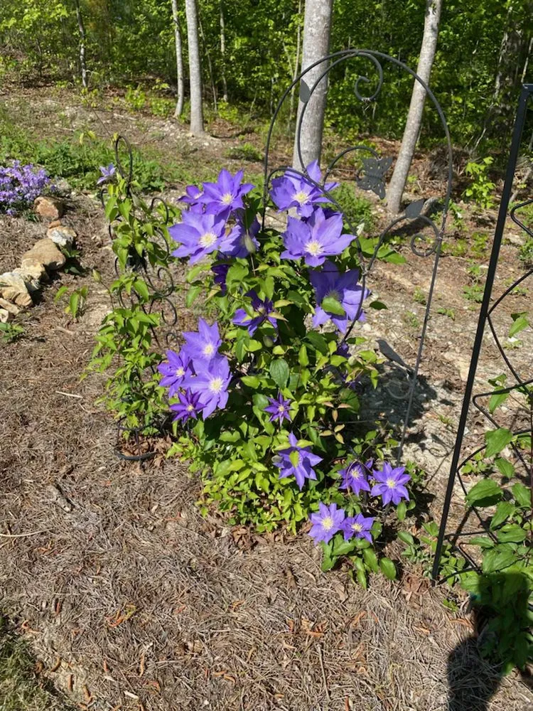 Trusted outdoor landscaping in Dallas, GA - TRB Landscaping & Lawn Maintenance