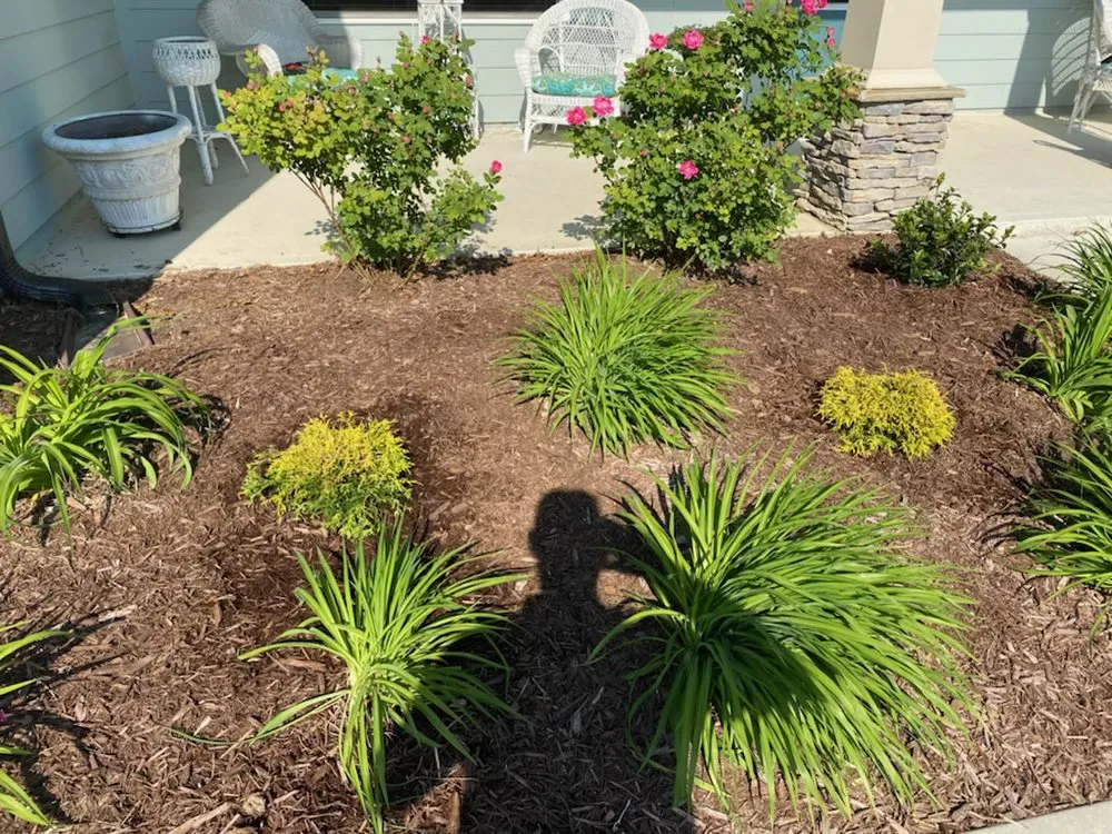 Local lawn care service in Dallas, GA - TRB Landscaping & Lawn Maintenance