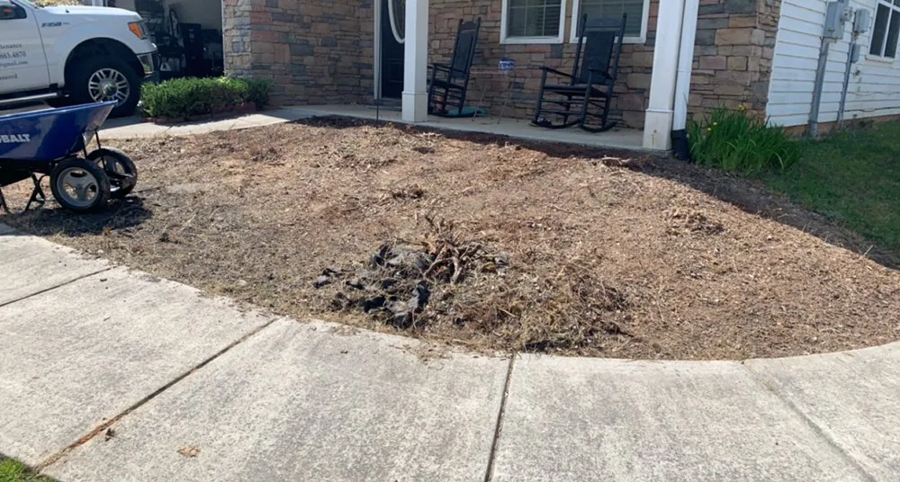 Professional landscaping services in Dallas, GA by TRB Landscaping & Lawn Maintenance