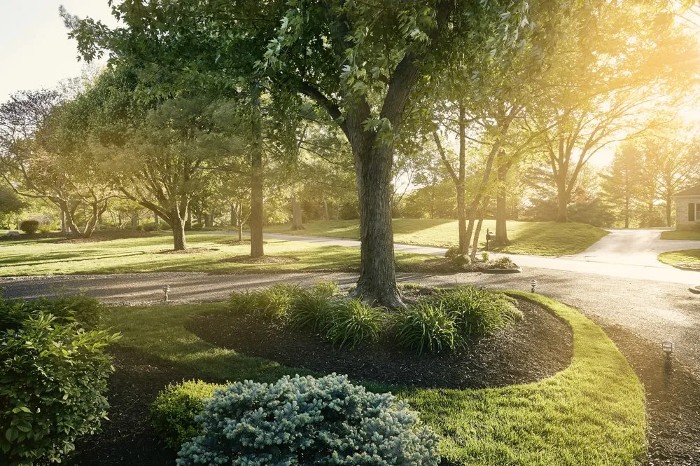 Professional garden landscaping in Fenton, MO - TRC Outdoor