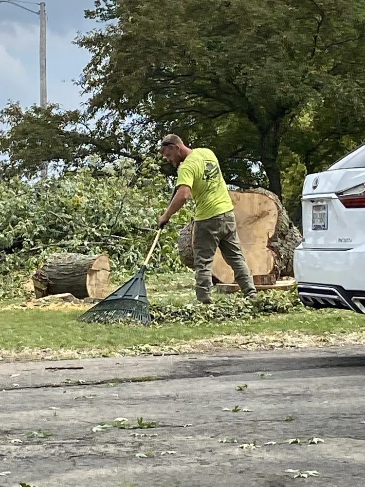 Top-rated yard cleanup service in Jackson, WI - TRC Tree Extraction