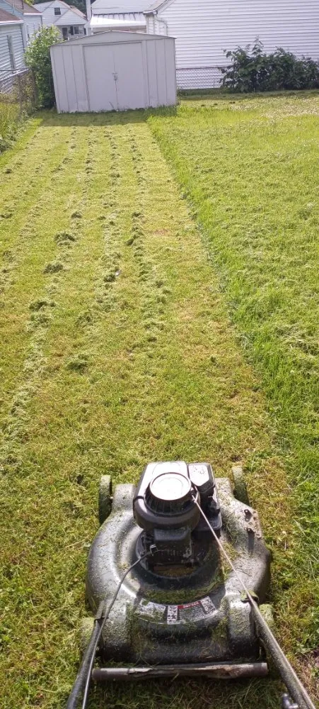 Custom lawn mowing service for outdoor upgrades in Dayton, OH by TRD Lawn Care