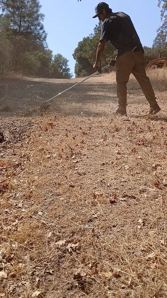 Professional yard maintenance near you in Fresno, CA by TRD Service & Co