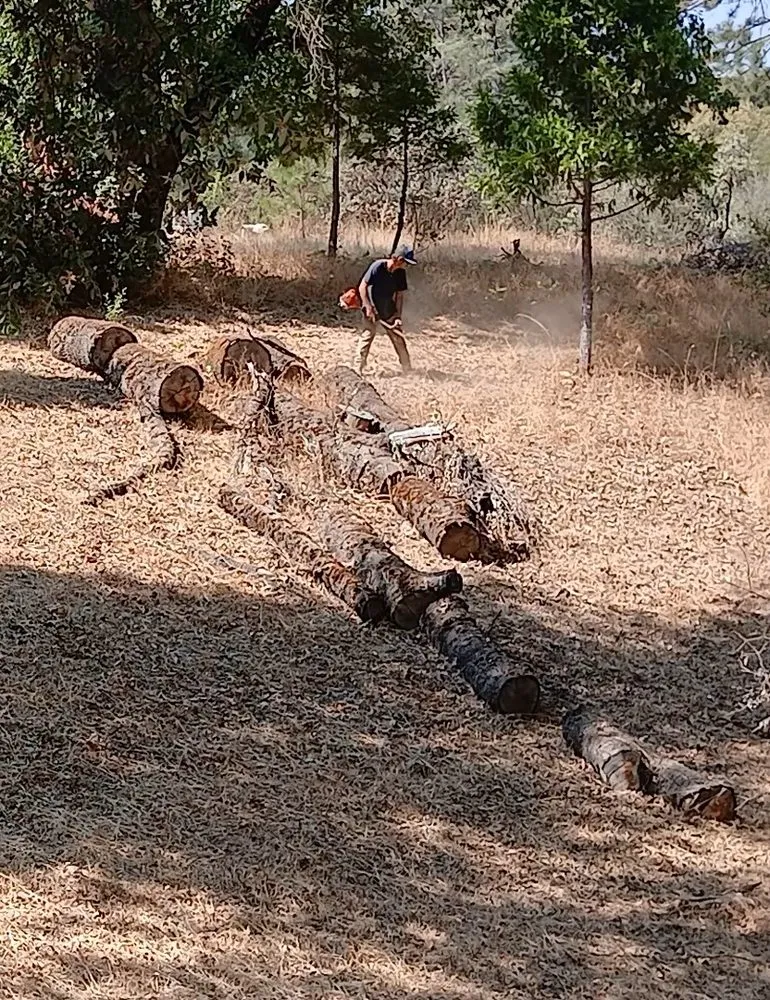 Professional lawn mowing service experts serving Fresno, CA - TRD Service & Co