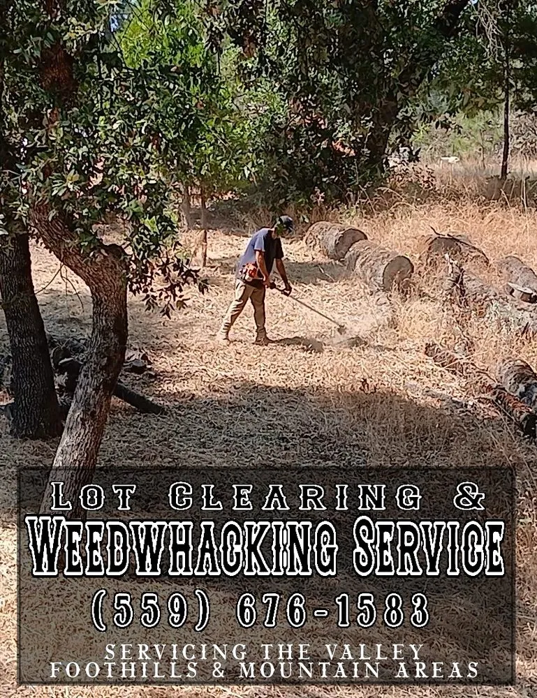 Local outdoor landscaping experts serving Fresno, CA - TRD Service & Co