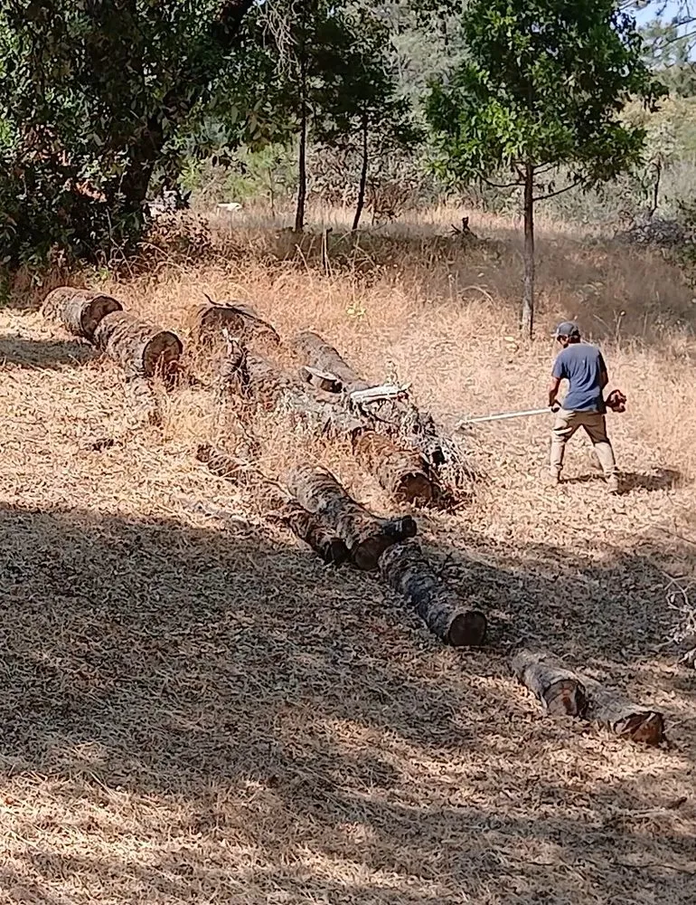 Trusted outdoor landscaping for outdoor upgrades in Fresno, CA by TRD Service & Co