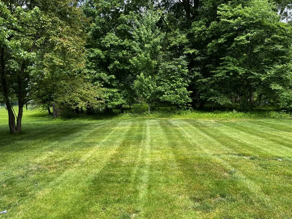 Top-rated landscape design experts serving Akron, OH - Tre-Mendous