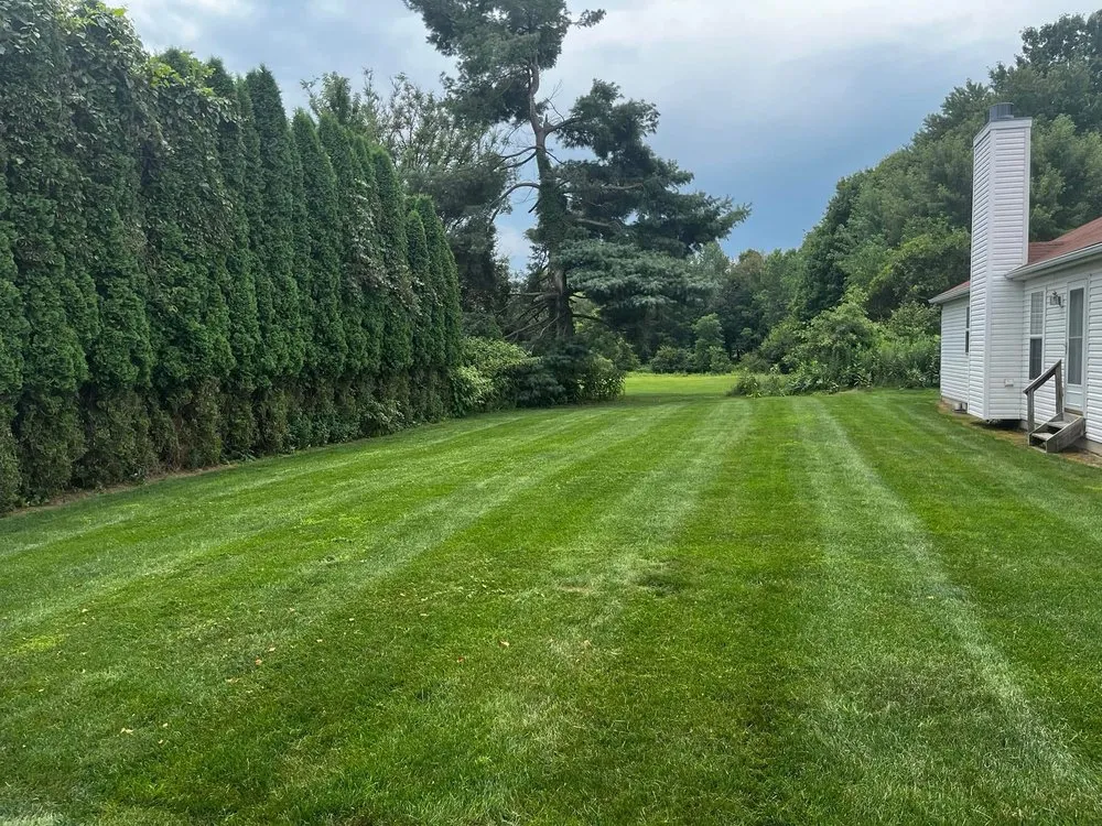 Custom yard maintenance in Akron, OH - Tre-Mendous