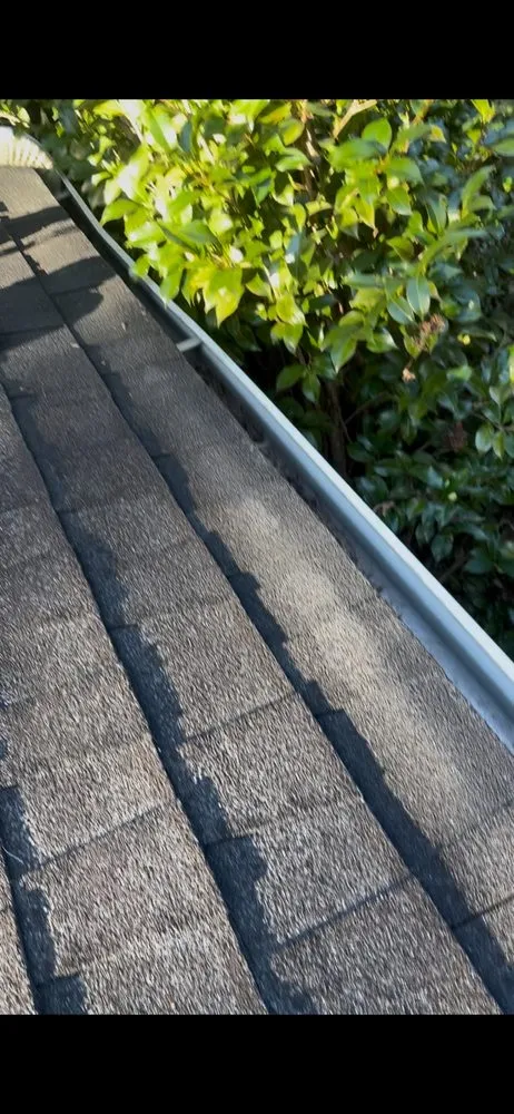 Top-rated landscape installation for beautiful yards in Decatur, GA by Tre The Handyman