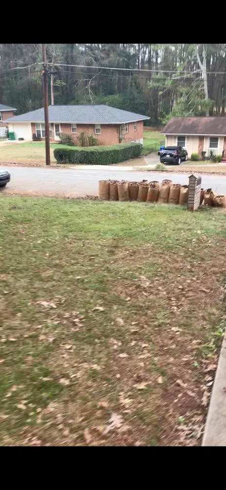 Top-rated yard maintenance for homes across Decatur, GA - Tre The Handyman