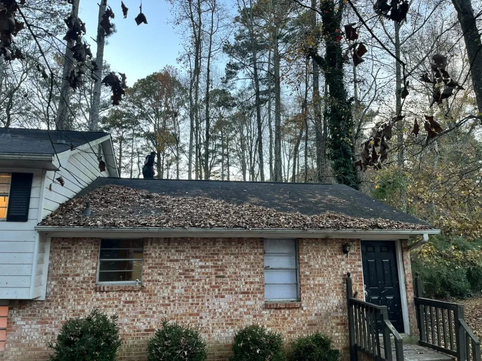 Trusted lawn care service for beautiful yards across Decatur, GA - Tre The Handyman