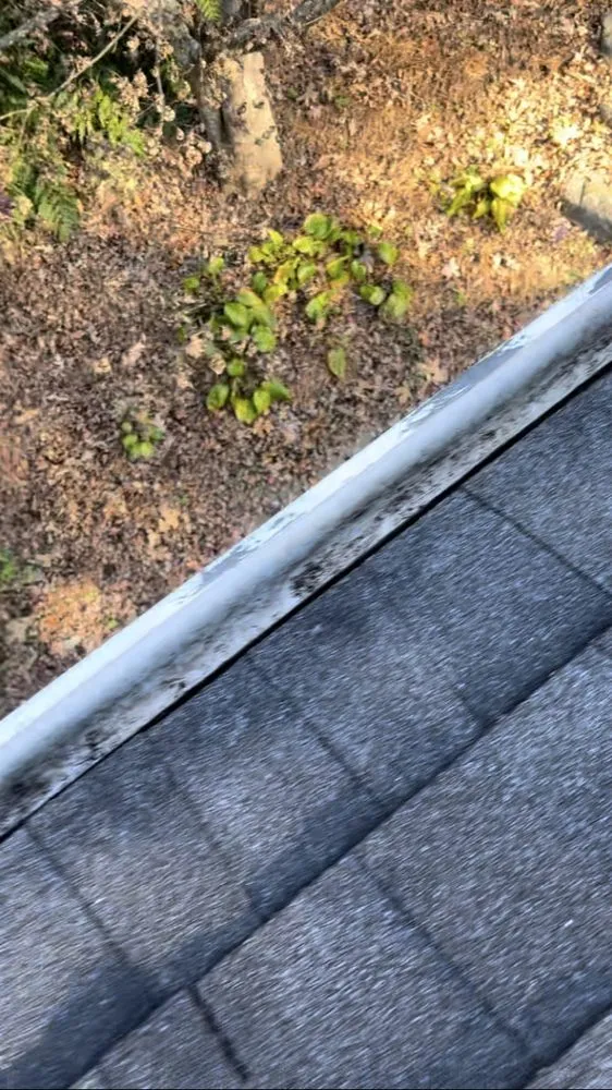 Trusted yard maintenance experts serving Decatur, GA - Tre The Handyman