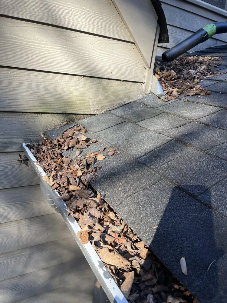 Custom landscaping services in Decatur, GA - Tre The Handyman