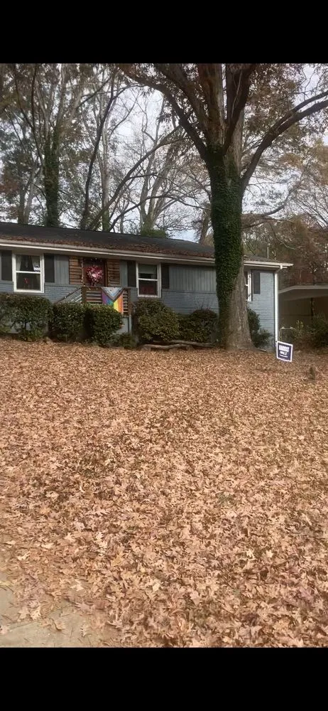 Affordable landscape design experts serving Decatur, GA - Tre The Handyman