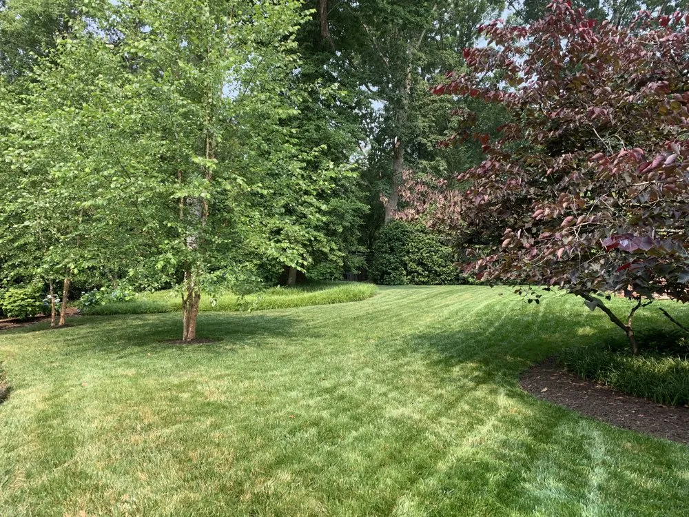 Top-rated lawn mowing service in Goochland, VA by Tread light Lawn Care