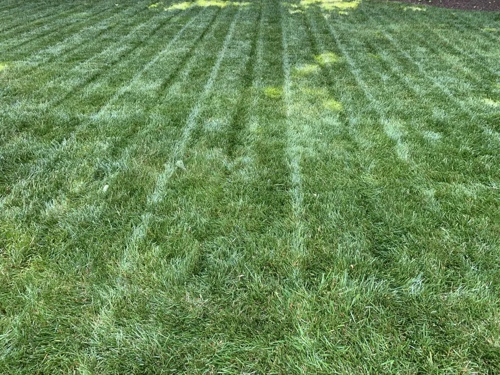 Trusted landscape design in Goochland, VA by Tread light Lawn Care