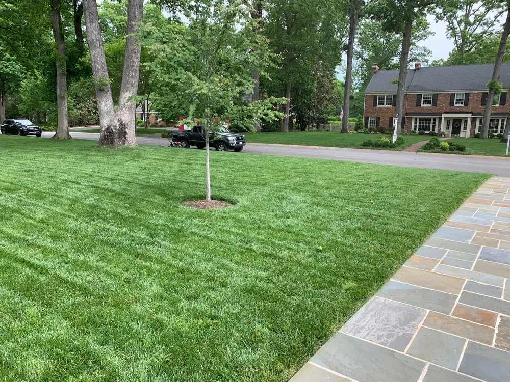 Reliable yard cleanup service experts serving Goochland, VA - Tread light Lawn Care