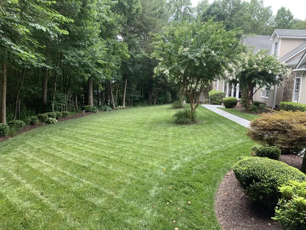 Custom yard cleanup service in Goochland, VA by Tread light Lawn Care