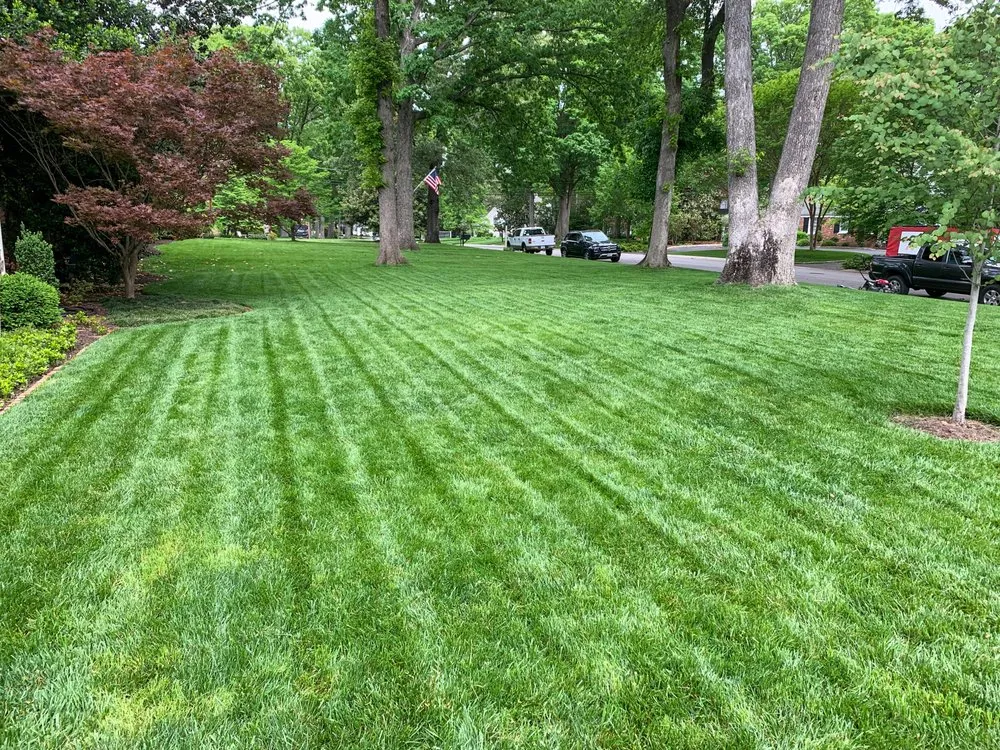 Custom yard cleanup service in Goochland, VA - Tread light Lawn Care
