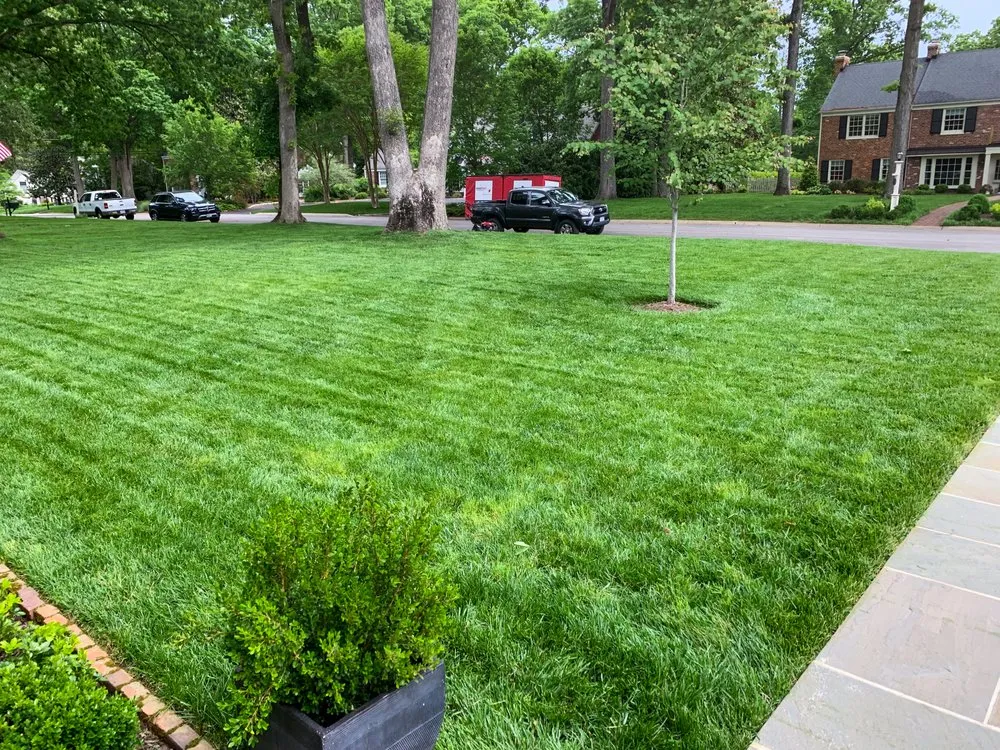 Affordable residential landscaping for year-round maintenance across Goochland, VA - Tread light Lawn Care