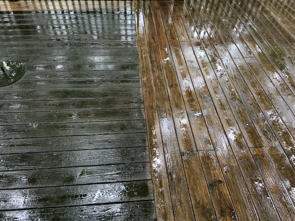 Trusted residential landscaping in Etowah, NC - Treadway’s Lawn Care & Pressure washing