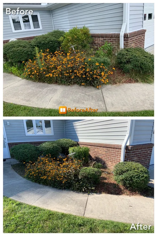 Expert yard maintenance for beautiful yards across Etowah, NC - Treadway’s Lawn Care & Pressure washing