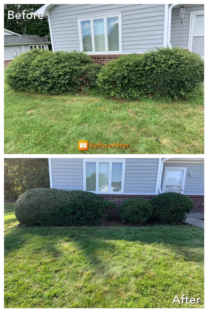 Expert landscaping services for homes in Etowah, NC by Treadway’s Lawn Care & Pressure washing
