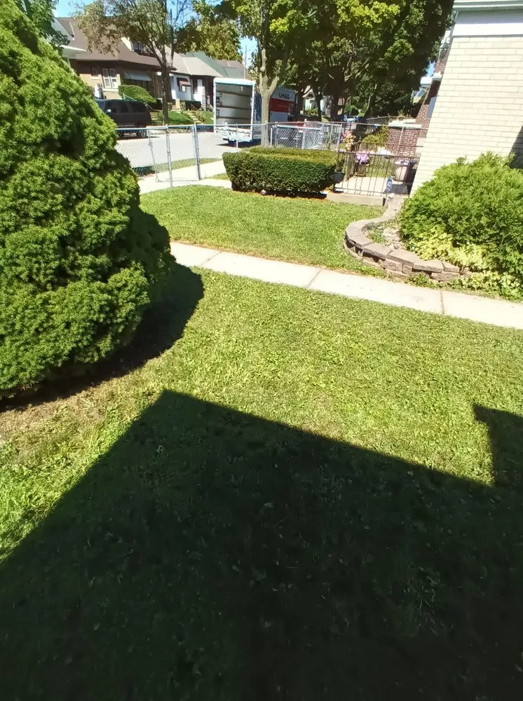 Reliable lawn care service for outdoor upgrades across Milwaukee, WI - Treal's Lawn Care