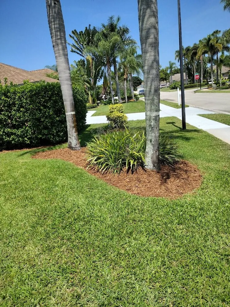 Reliable yard maintenance near you in Vero Beach, FL by Treasure Coast Landscape Management