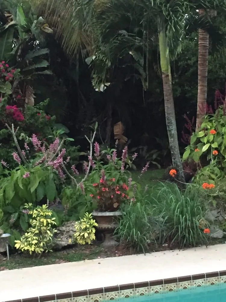 Affordable yard maintenance near you across Stuart, FL - Treasure Coast Lawn & Landscape