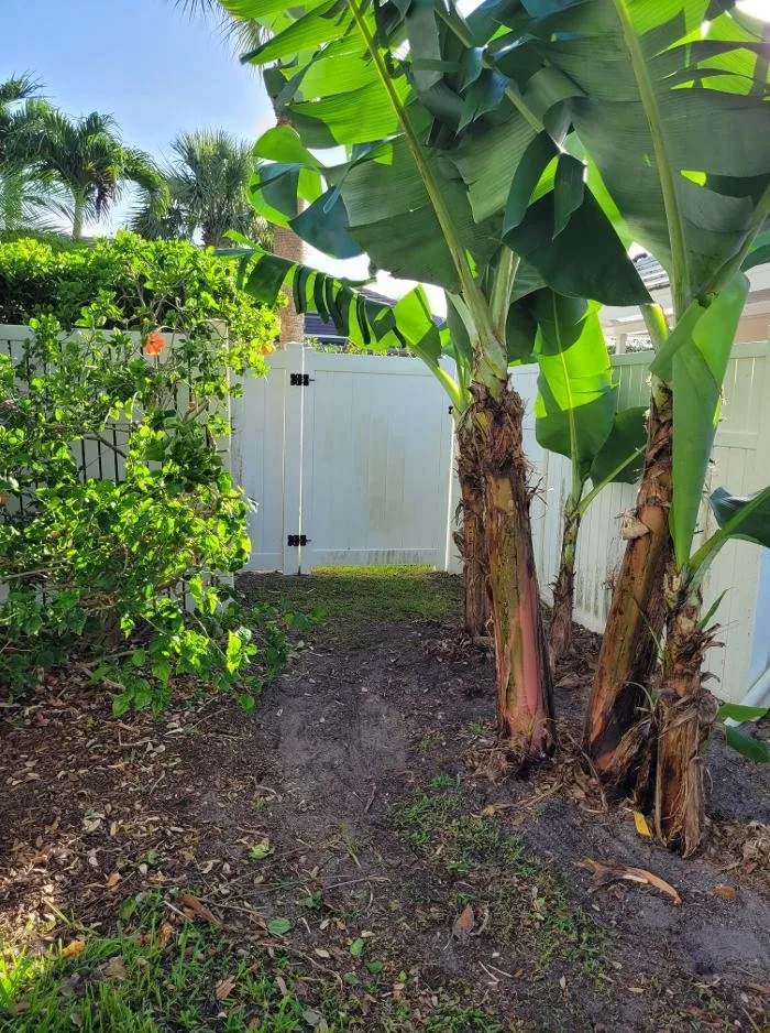 Local lawn mowing service experts serving Vero Beach, FL - Treasure Coast