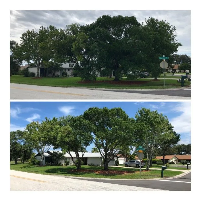 Professional residential landscaping in Vero Beach, FL by Treasure Coast