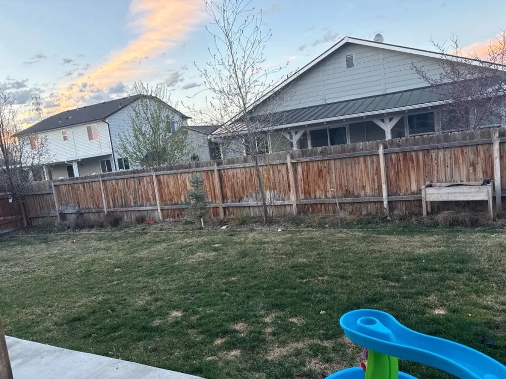 Affordable lawn mowing service in Nampa, ID - Treasure Tree & Landscape Care