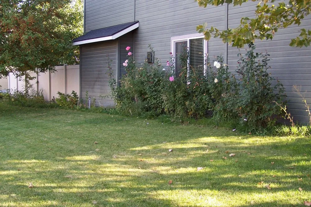 Custom yard cleanup service experts serving Nampa, ID - Treasure Tree & Landscape Care